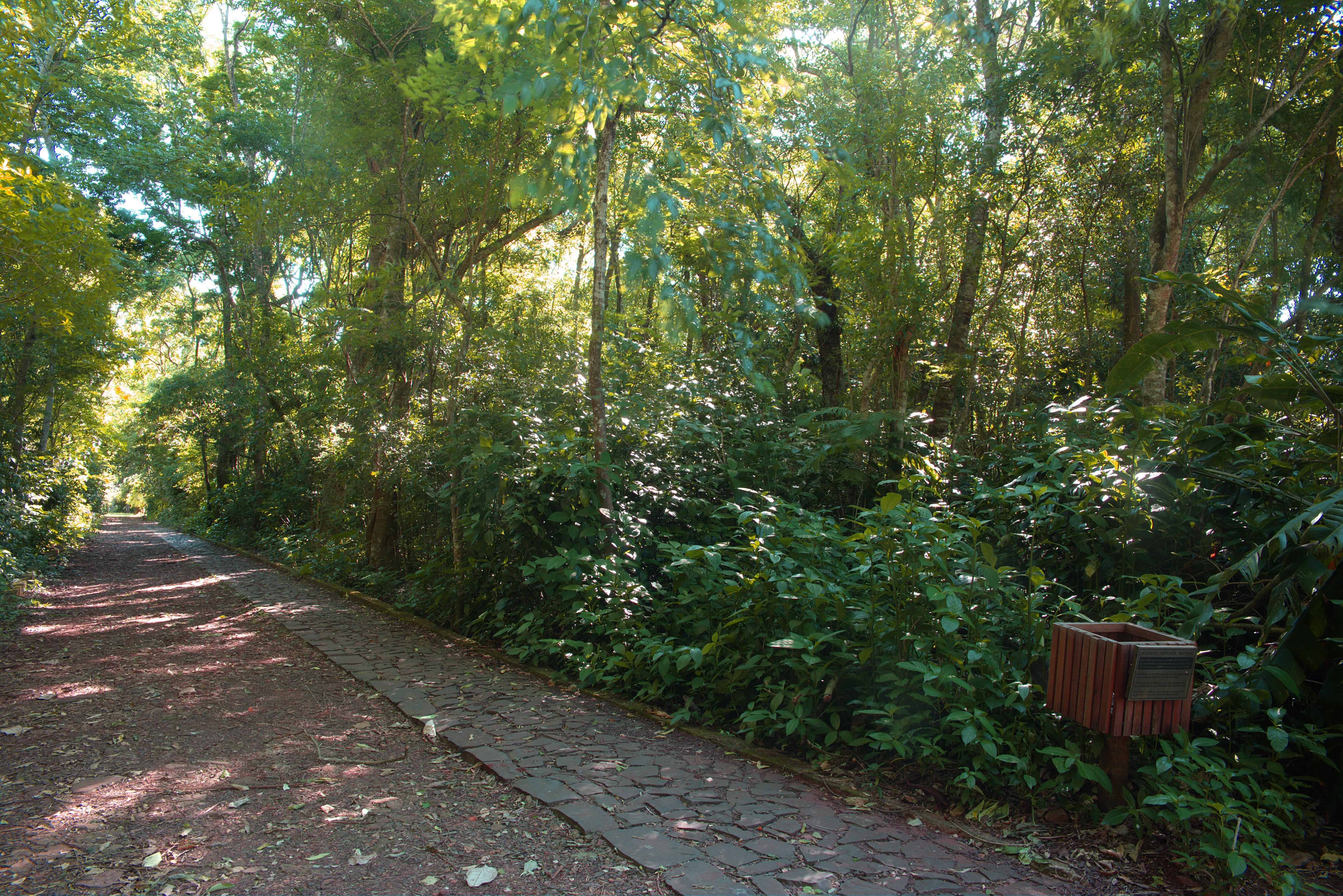 Sanma Hotel Foz do Iguacu Exterior photo The path through the woods
